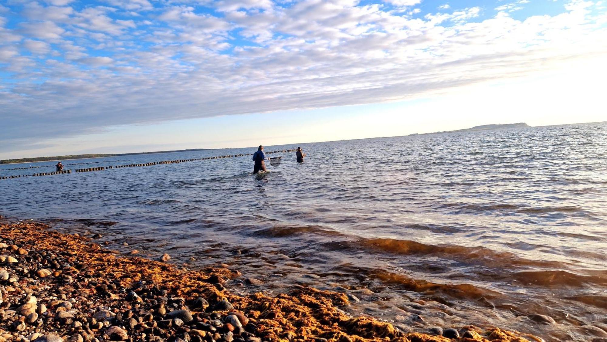 App 8O Grosser Tag Am Meer Mit Wasserblick درانسكي المظهر الخارجي الصورة